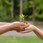 Merci à nos donateurs-Fondation de l Avenir